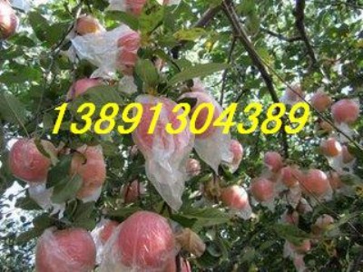 2016(k)tʿOa(chn)l(f)r(ji)