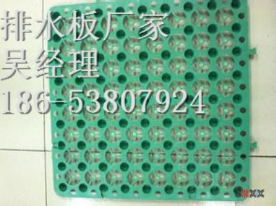 河北蓄排水板廠家_型號全|質(zhì)量優(yōu)