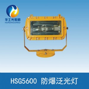 Aʿhsg5600ⷺ