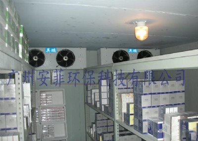 ˎ