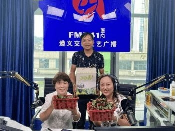 xͨVfm94.1VͶŃr(ji)x_(ti)(ji)Ŀ