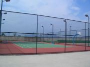 @xW(wng)W@oڣֱN@؇ھW(wng)