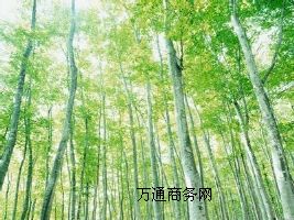 ؓ(f)x턩 ؓ(f)xh(yun)t⾀턩