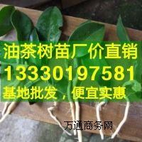 Ͳ,ǸͲ,VJݸ߮a(chn)Ͳr(ji)