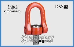 RɭCODIPRO DSSD(zhun)h(hun)Ҏ(gu) 