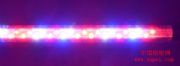 LEDֲM
