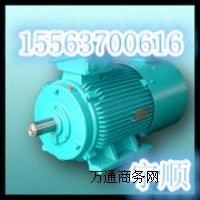 YBϵеV÷늙C(j),YB250M-55-4늙C(j)