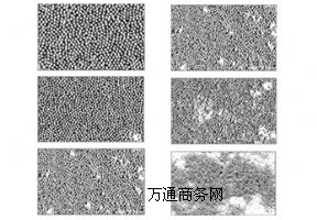 ʯI(y)ҪЧ(yu)|(zh)?xn)r(ji)Ⱥõ䓽z