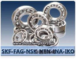 (yu)ԭbM(jn)FAG RNA69/32AoȦLS