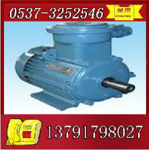 ybk2-250m-2늙C