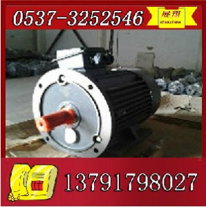 ybk2-315m-2늙C