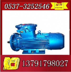 ybk2-315l2-2늙C