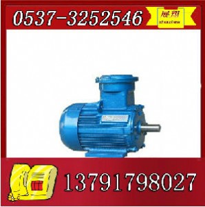 ybk2-132m-4늙C(j)ֱNr(ji)
