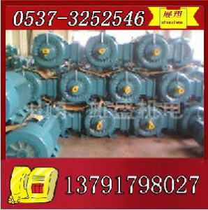 ybk2-315s-4늙C(j)