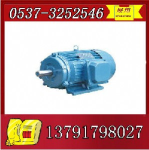 ybk2-315m-4늙C(j)