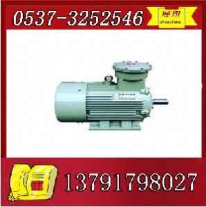 ybk2-315l1-4늙C(j)