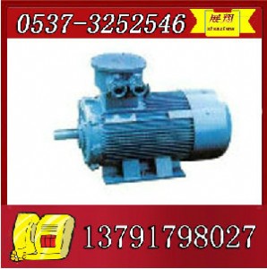 ybk2-132m2-6늙C(j)