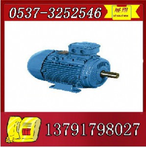ybk2-225m-6늙C(j)
