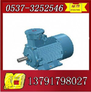 ybk2-250m-6늙C(j)