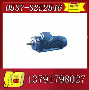 ybk2-250m-8늙C(j)