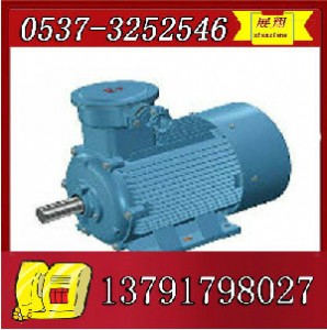 ybk2-315s-8늙C
