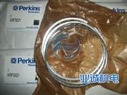˹perkins͙C(j)F(xin)؛l(f)ژI(y)\(chng)