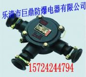 BHD2-25/3V|Ӿ(xin)