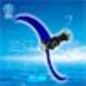 qjb͝ˮP䓻
