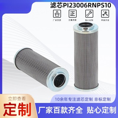 RϵҺ͞VоPI23006RNPS10