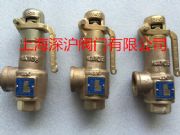 JSV-LT12安全閥 朝光安全閥