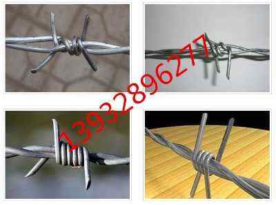 ɽ|̴K2.5״50LSҬF؛