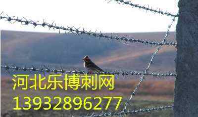 ½PдFzW(wng)PF޼