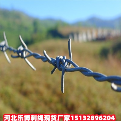 ˮKF(xin)؛SҼֵ·B(yng)o(h)䓽zW(wng)R·B(yng)o(h)FzW(wng)