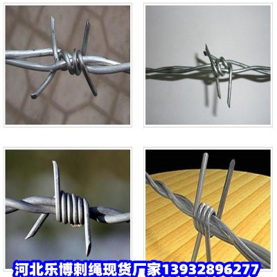 @־GxW(wng)K̾(xin)p\K