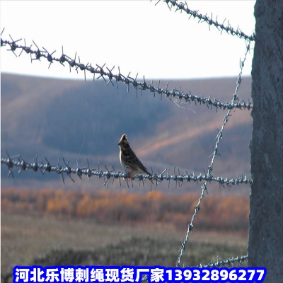 pvcF޼ϲpvcFzW(wng)ŽܴK