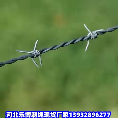 ֎FzW(wng)\䓽zW(wng)LȦɽF޼