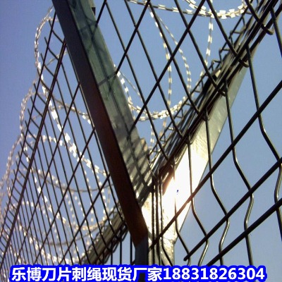 \KS P䓵ƬK P䓵Ƭ̽z