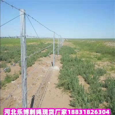 Ĵ\KS oݹ@KW(wng) ꖟ\K