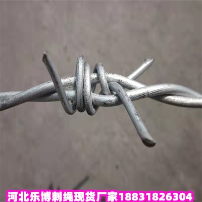 \KS ʮF̾W(wng) ˲̽zW(wng)