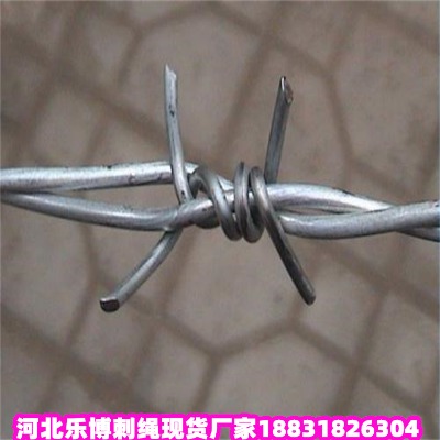 \KS ȦF޼ Ȏ·B(yng)o(h)FzW(wng)