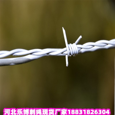 C\KS mȦɽFzW(wng) PȦɽFzW(wng)