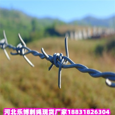 \KS (yng)10\䓽zW(wng)
