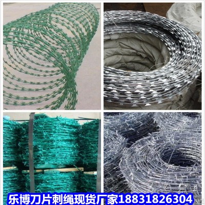 \KS (dng)10ﲻP䓵Ƭ̽zL\