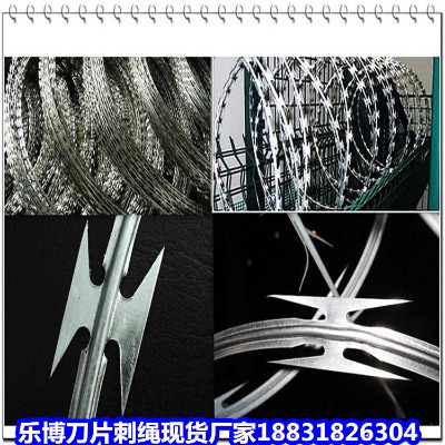 \KS 2יC(j)(chng)ƬK