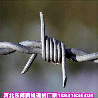 ƽ\KF(xin)؛SҺӱ·B(yng)o(h)䓽zW(wng)ɽ·B(yng)o(h)Fz