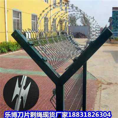 ӱ\ƬKF(xin)؛SҺCƬ̽zBؙCƬ