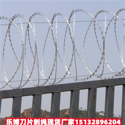 ӱ\ƬKF(xin)؛SϺO(jin)zoW(wng)֖|µƬ̽zL\