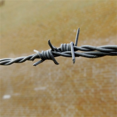 _(ti)\KSһ¡䓽zW(wng)IW(wng)