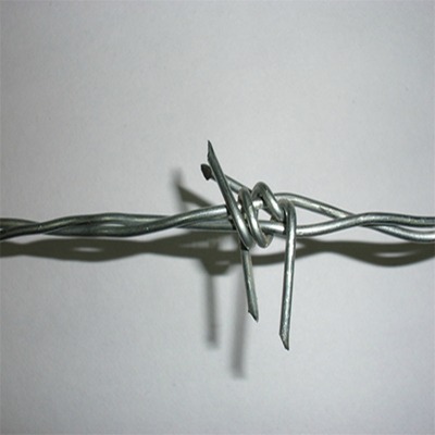 (l)FzSҹ(yng)@F޼pvcܴ̾W(wng)