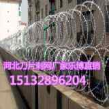 hP䓵Ƭ̾W(wng)C(j)(chng)L\W(wng)Sa(chn)